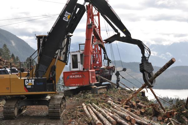 Fundamentals of Forest Harvesting Practices