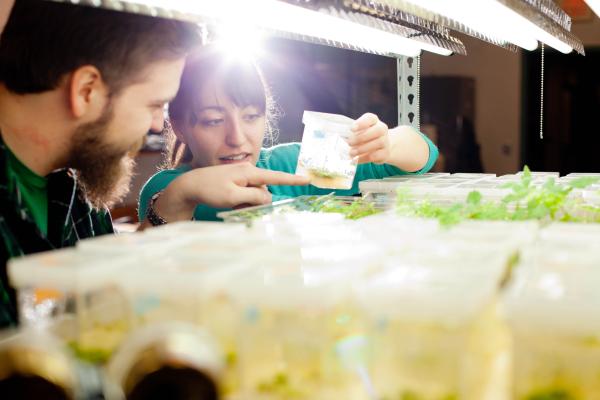 Students of the Horticulture Technician at the Horticultural Centre