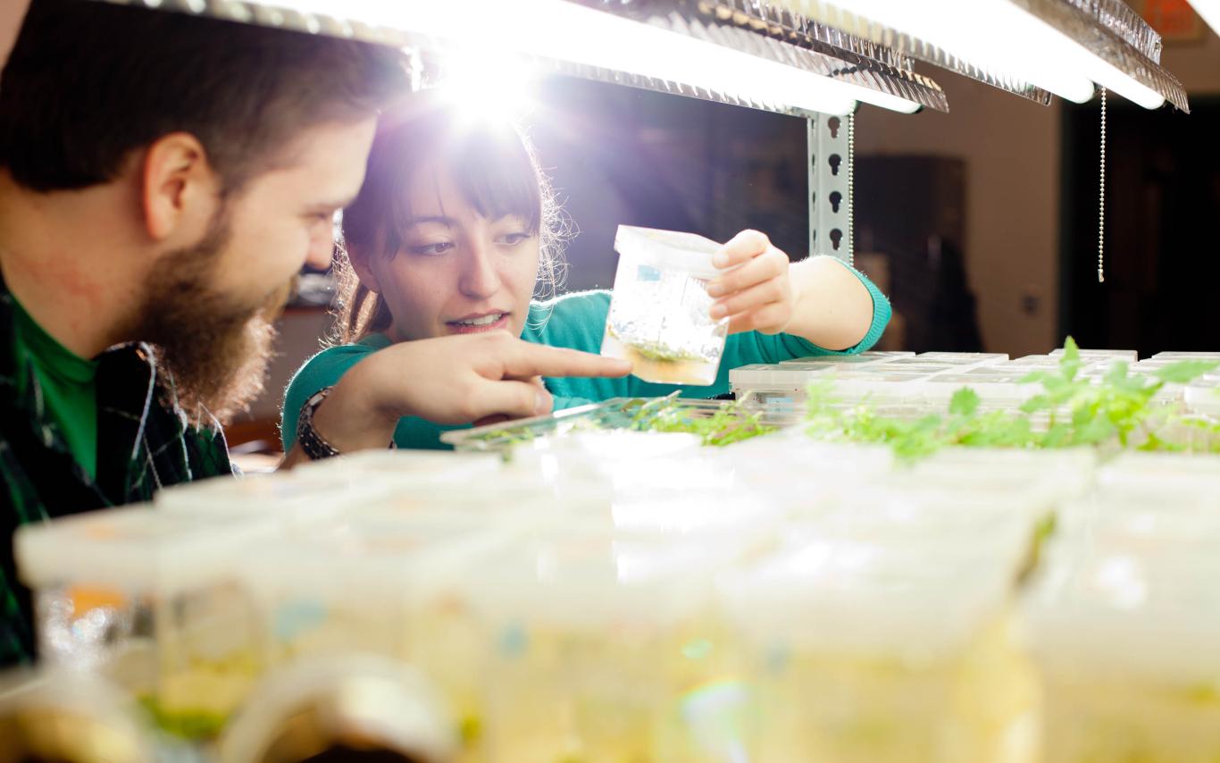 Students of the Horticulture Technician at the Horticultural Centre