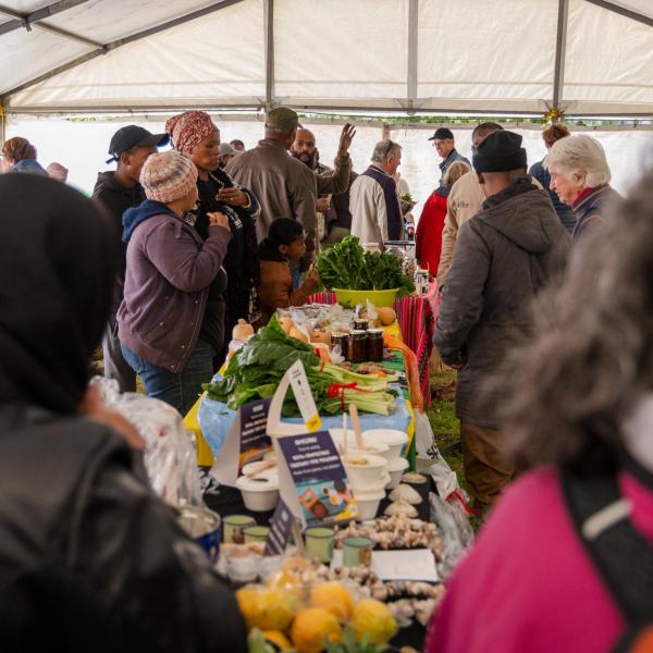 People browse the tables set up at Mowbray Market.