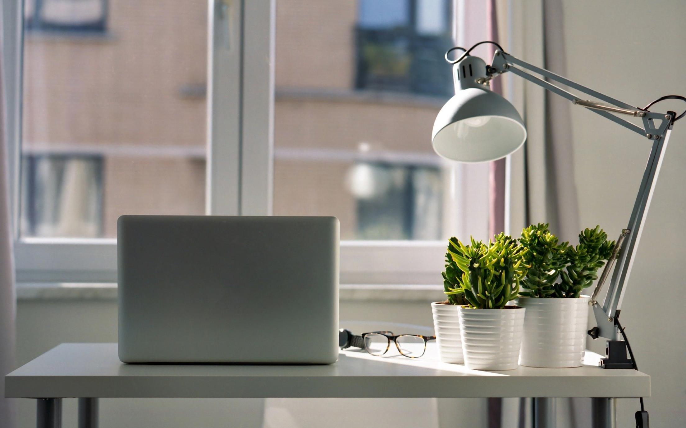 Photo of a desk with natural light coming in from a window and plants sitting on the desk
