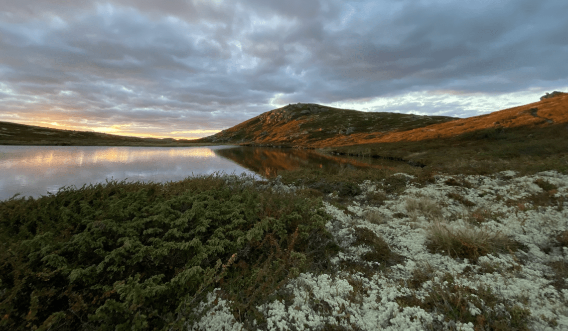 photo of Norway landscape