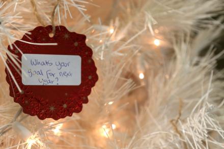 Photo or ornament on tree that reads: What's your goal for next year? 