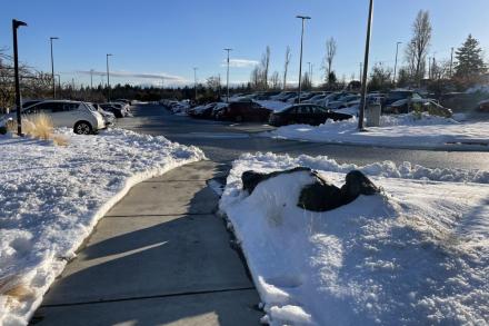 Picture of a VIU Nanaimo campus parking lot and sidewalk that have been cleared of snow