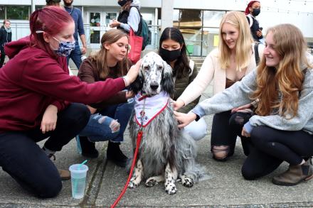 Students petting a therapy dog